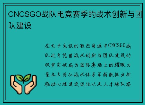 CNCSGO战队电竞赛季的战术创新与团队建设